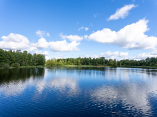 029_SA108993