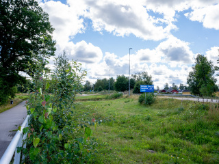 031_SA108995