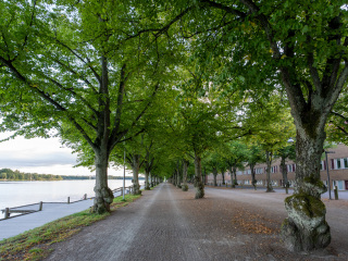 076_SA109059