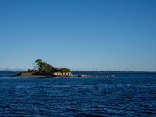 146_SA109209