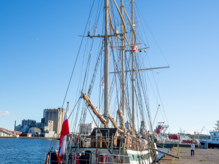 149_SA109213