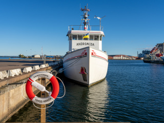 151_SA109223