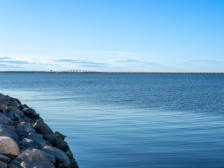 155_SA109244