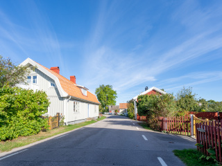 173_SA109274