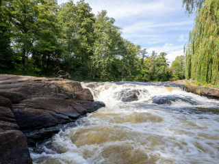 186_SA109288