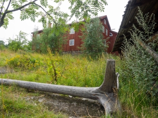 Skansen Stockholm Schweden